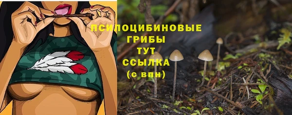 прущие крисы Богданович