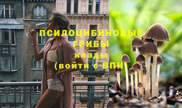 альфа пвп Богородицк